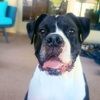 krissy_05_29
